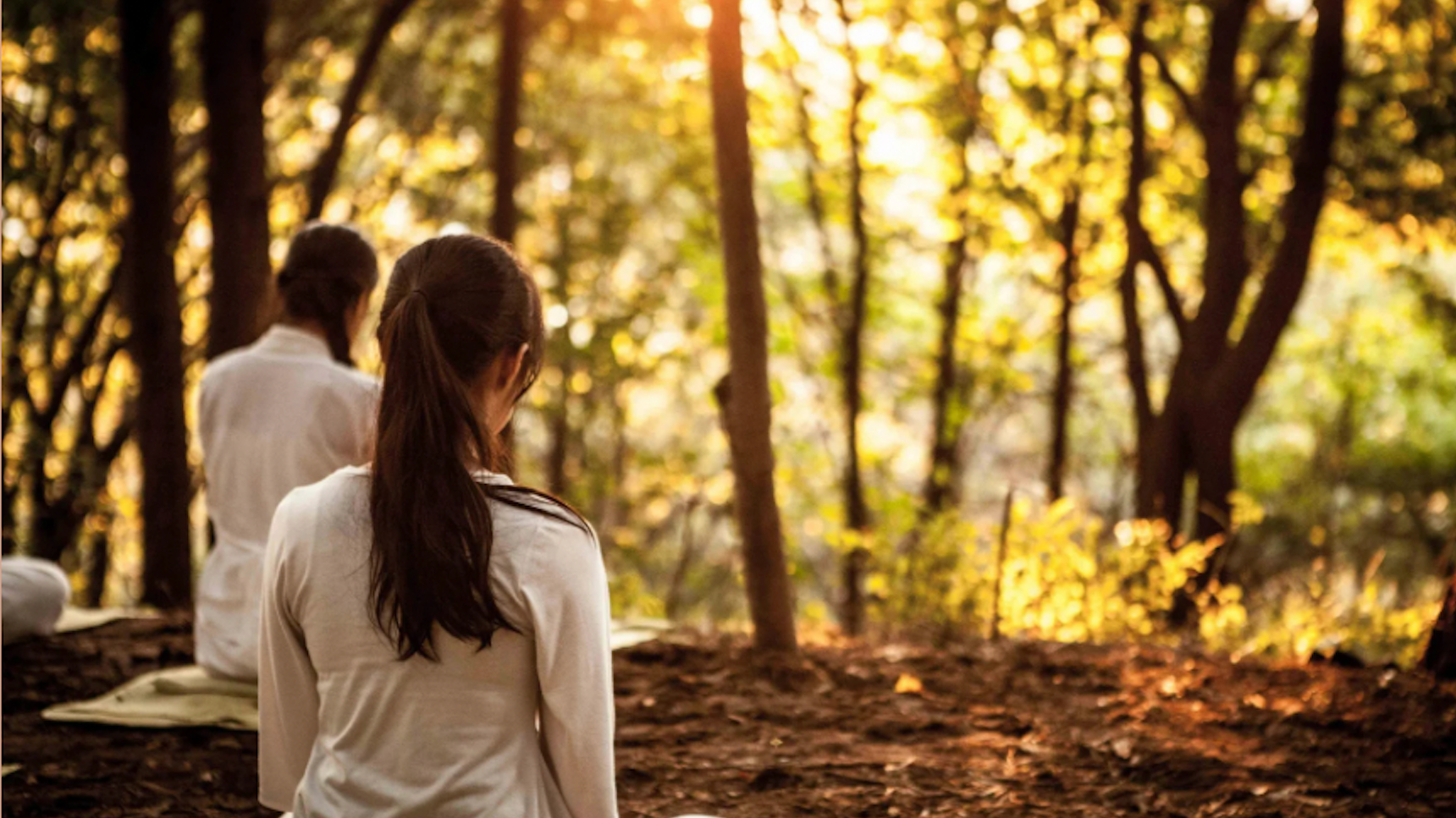 Vol. 3 健康診断に "プラス"でわかる "動脈硬化”の可能性