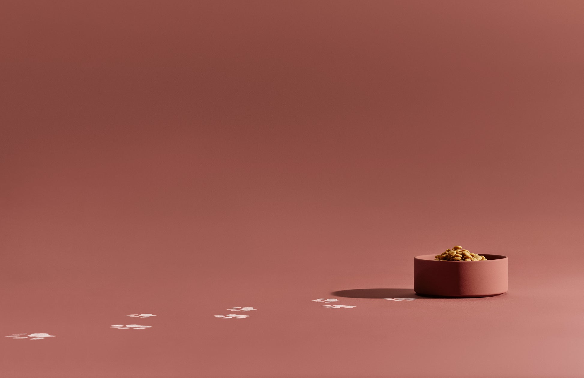 WITH SUPPLEMENTS GUT