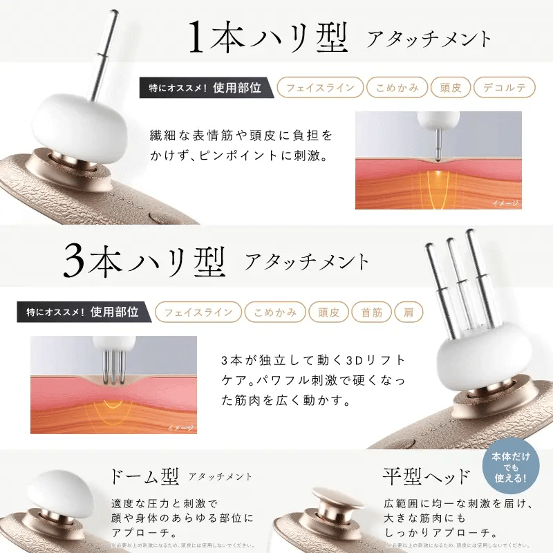 BEGUN（ビガン）