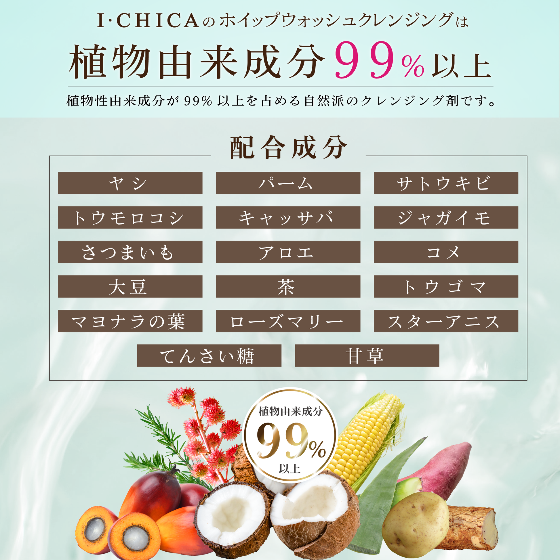 ホイップウォッシュ クレンジング